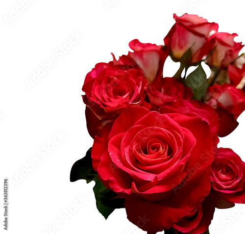 Bouquet of red roses on white background  for valentines festival