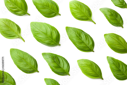 basil leaves isolated on a white background. top view © Dmytro