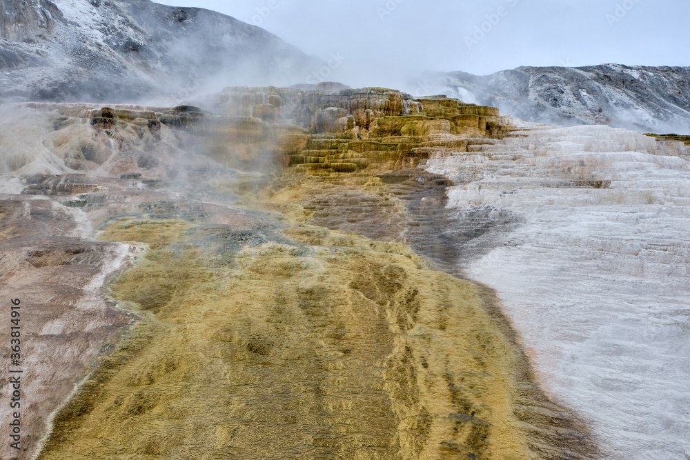 Minerva Terrace, Yellowstone National Park, Wyoming, USA Minerva Terrace, Yellowstone National Park, Wyoming, USA