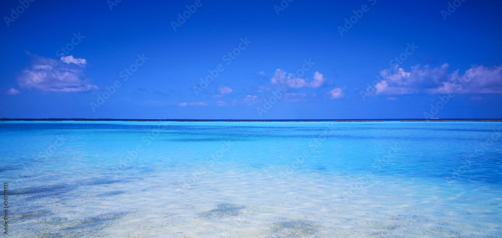 Tropical Maldives beach with white sand and blue sky.