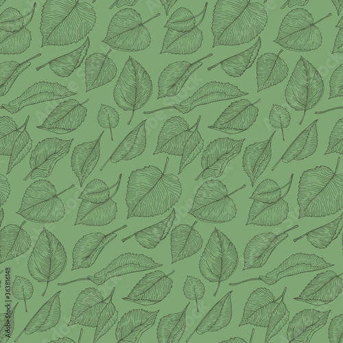 Linden leaves herbal vector pattern. Hand drawn botanical sketch style. Retro vintage graphic design.