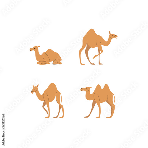 Cartoon camel sketch line icon.   ute animals set of icons.