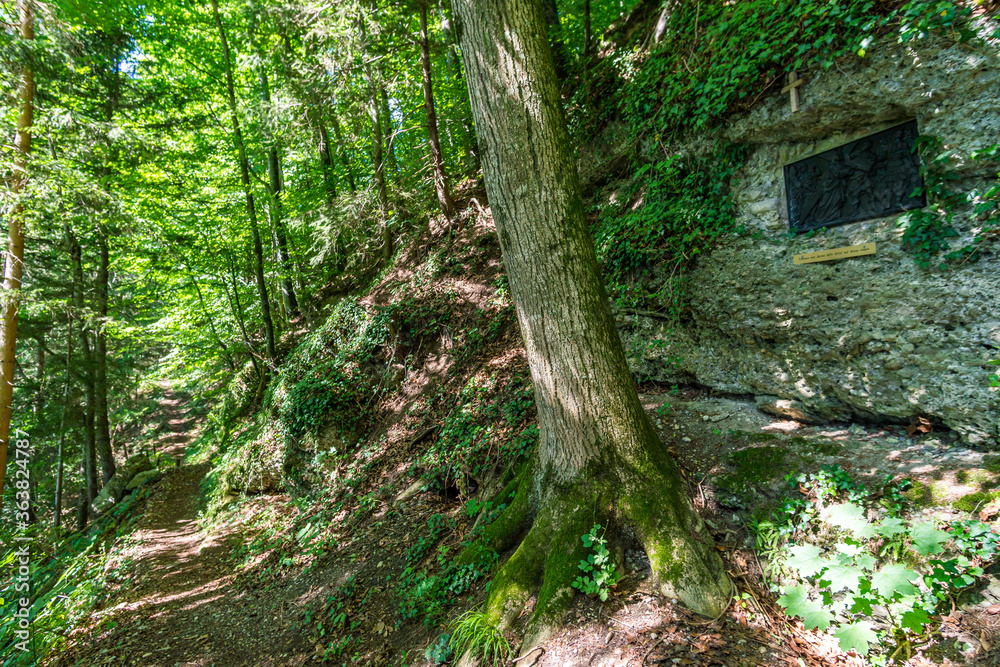 Along the panorama path in Heiligenberg