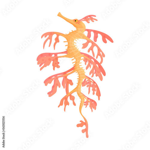 Sea horse vector icon.Cartoon vector icon isolated on white background sea horse.