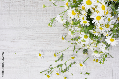daisies on a wooden backgroundflower, flowers, nature, daisy, white, summer, spring, plant, field, chamomile, daisies, garden, green, yellow, blossom, meadow, grass, camomile, flora, bloom, petal, flo photo