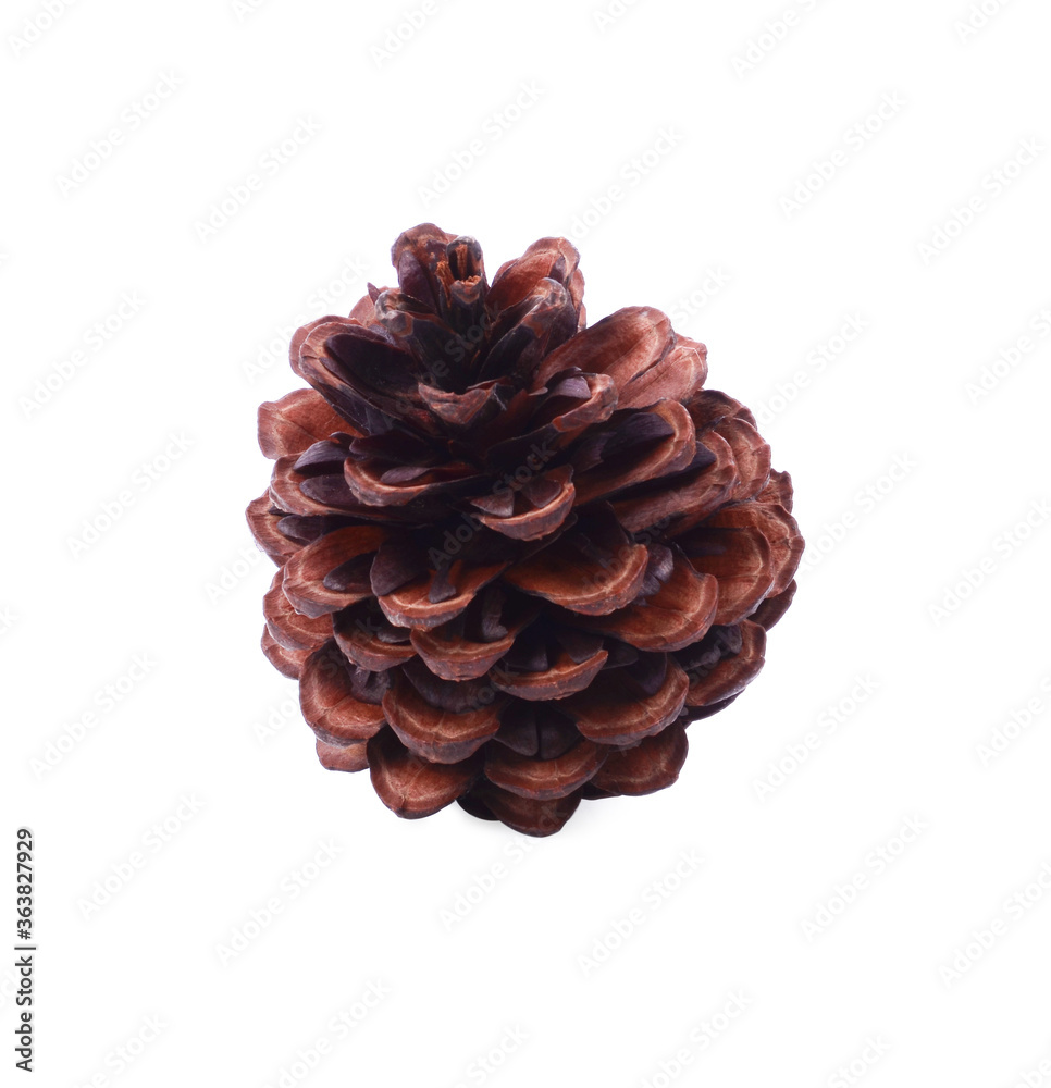 bump isolated on white background bump isolated on white background
