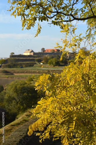 Fototapeta Naklejka Na Ścianę i Meble -  autumn at Petrovaradin Fortress, Vojvodina