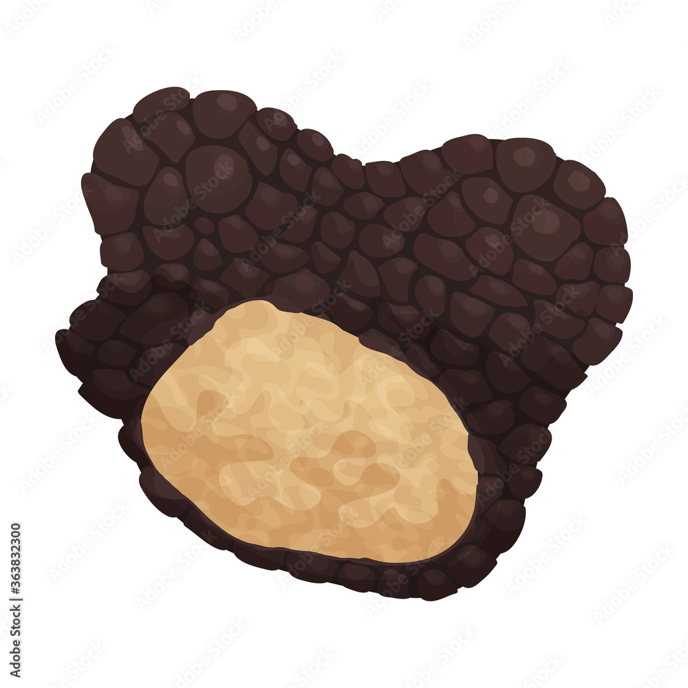 Truffle vector icon.Cartoon vector icon isolated on white background truffle. Truffle vector icon.Cartoon vector icon isolated on white background truffle.