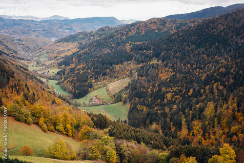 montagnes et forêt en automne. Vosges en automne