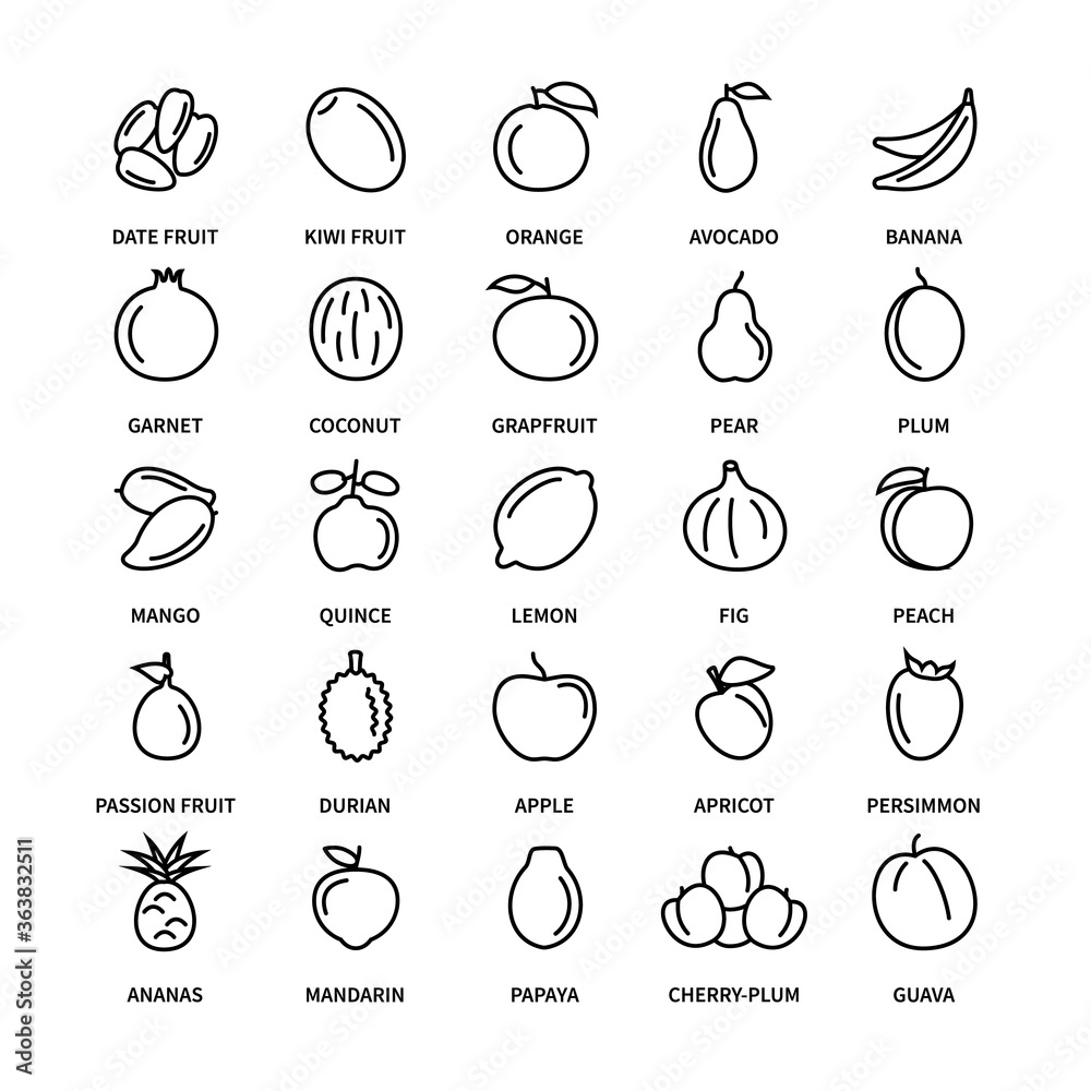 Fruit vegan vector linear icons. Collection of food vector elements for business analysis design of fresh healthy money money commerce search investor line icons. Set of vector characters.