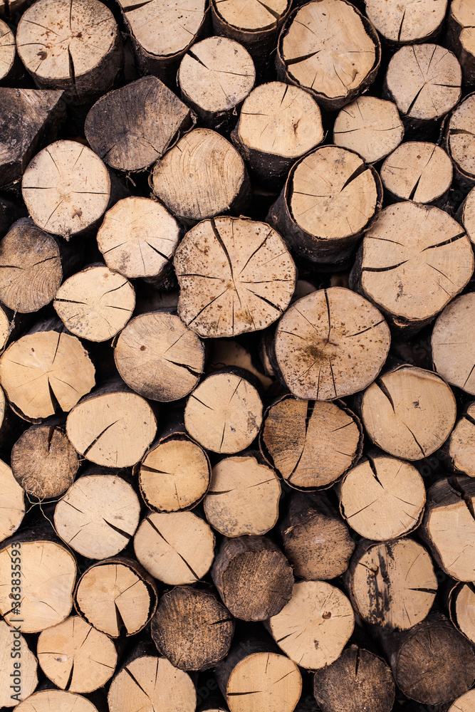 Pile of wood logs drying and getting ready for winter Pile of wood logs drying and getting ready for winter