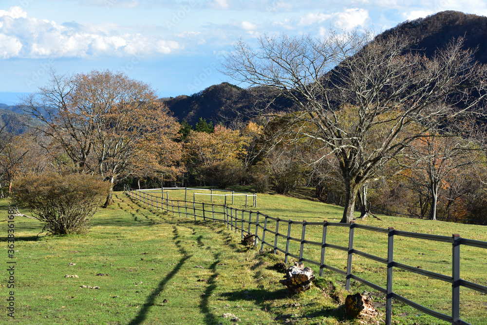 Pasture land with red leaves in Nikko, Japan Pasture land with red leaves in Nikko, Japan