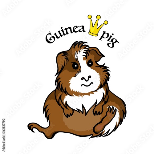 Cartoon Guinea pig isolated on white background