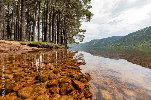 Lake with a forest on the side photo