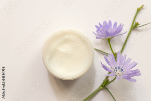 Moisturizing cream jar and chicory top view . Natural cosmetology product  organic cosmetics creative concept. white plastic container with facial  body balm. Women skin care.