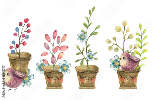Watercolor Cute embarrassed flower pots with eyes in which leaves, berries and flowers grow. Little birds in love.