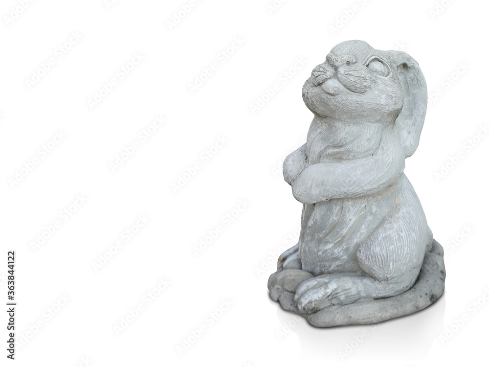 A white rabbit standing on white background A white rabbit standing on white background