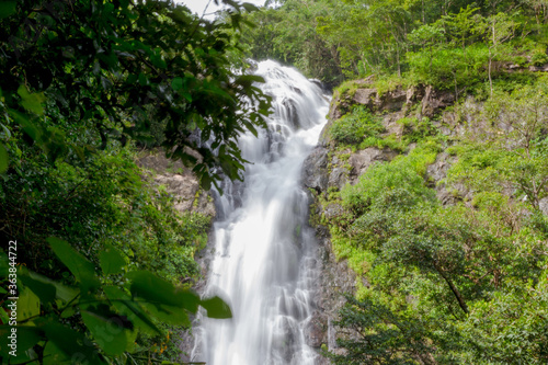 waterfall in the rainforest