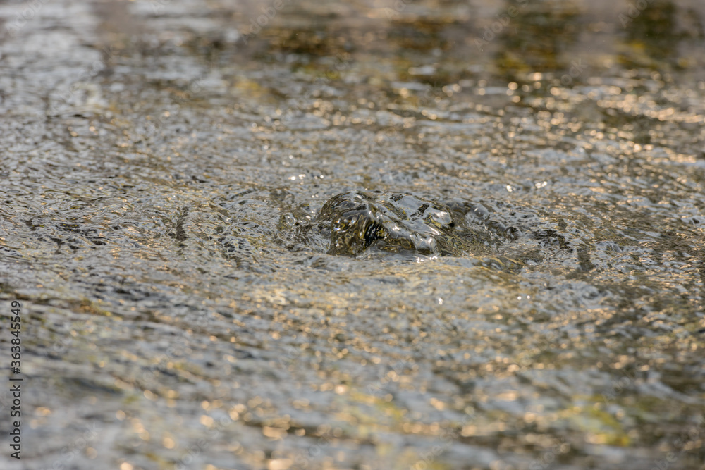 Portrait of bubbling water in nature outdoors Portrait of bubbling water in nature outdoors