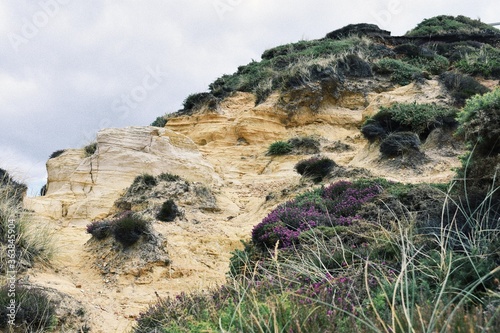 Processed with VSCO with g3 preset