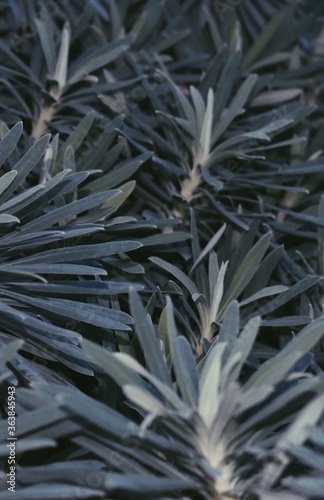 Processed with VSCO with p5 preset