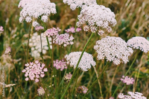 Processed with VSCO with c1 preset