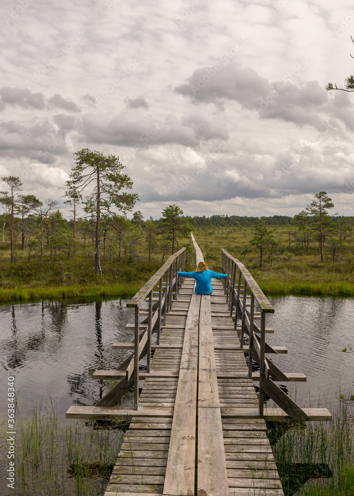 the summer swamp. woman in a blue jacket on a wooden bridge. bog pond. bog background and vegetation. white clouds. small swamp pines