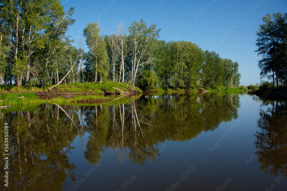 Russia. The South Of Western Siberia. Summer windless day on the Ob river