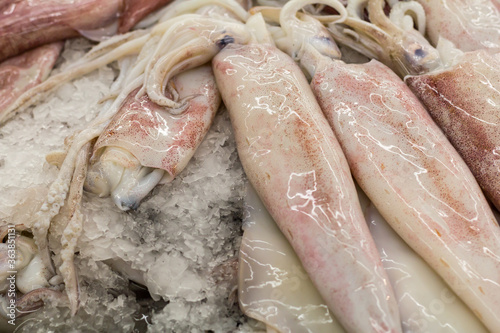 Fresh Group of Squid in The Local Market