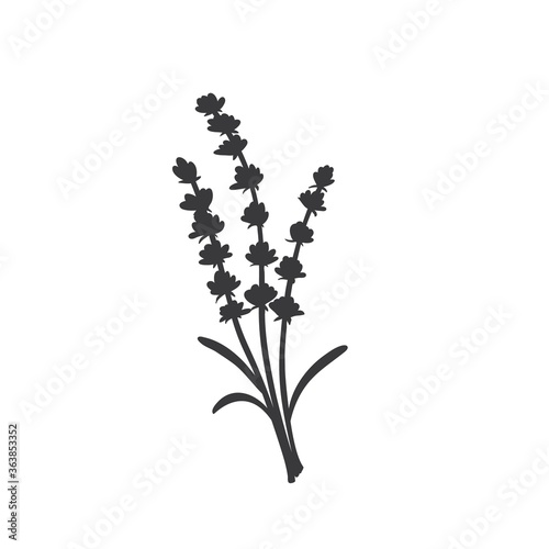 Lavender silhouette icon