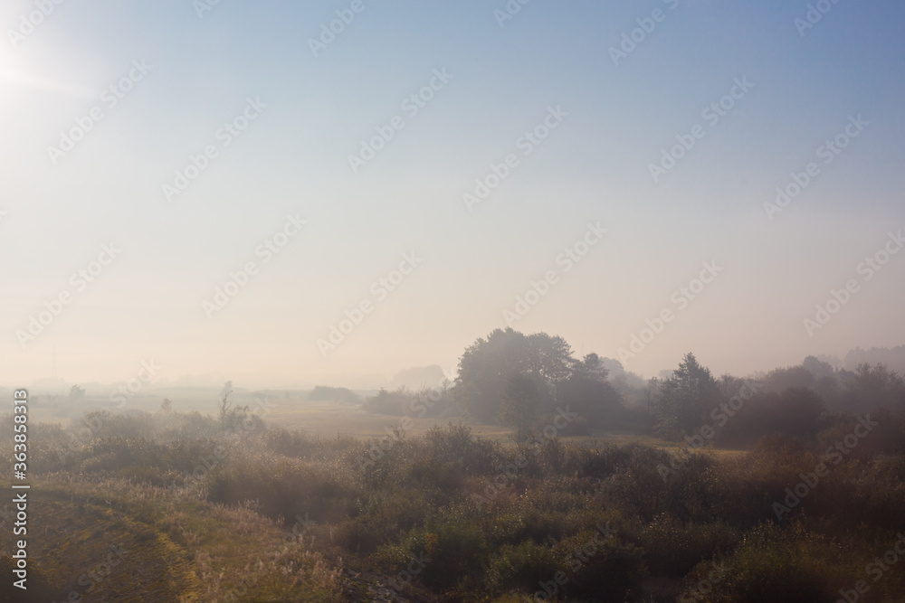 Autumn weather. Dense Fog in the field Autumn weather. Dense Fog in the field