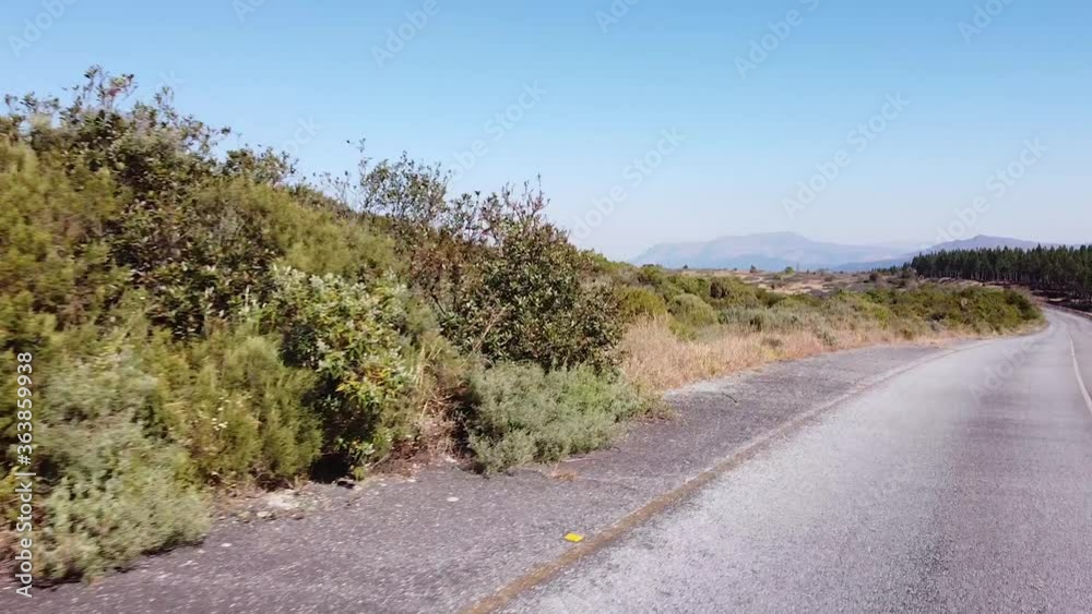 driving on tarmac road in Africa with trees and grassland winter clear skies dry out of focus with grain driving on tarmac road in Africa with trees and grassland winter clear skies dry out of focus with grain