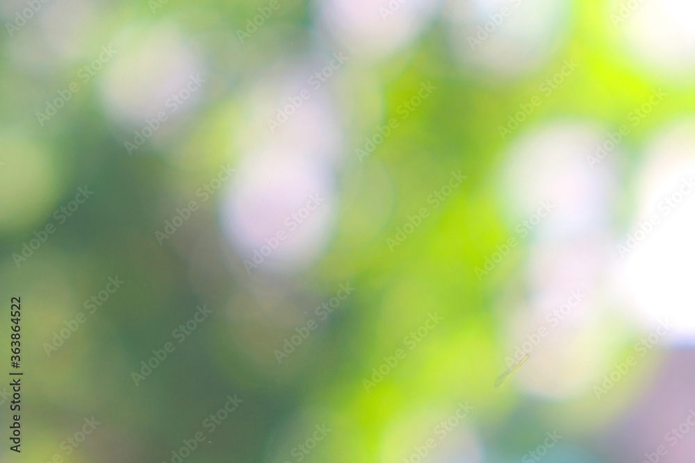 Blurred images of natural trees