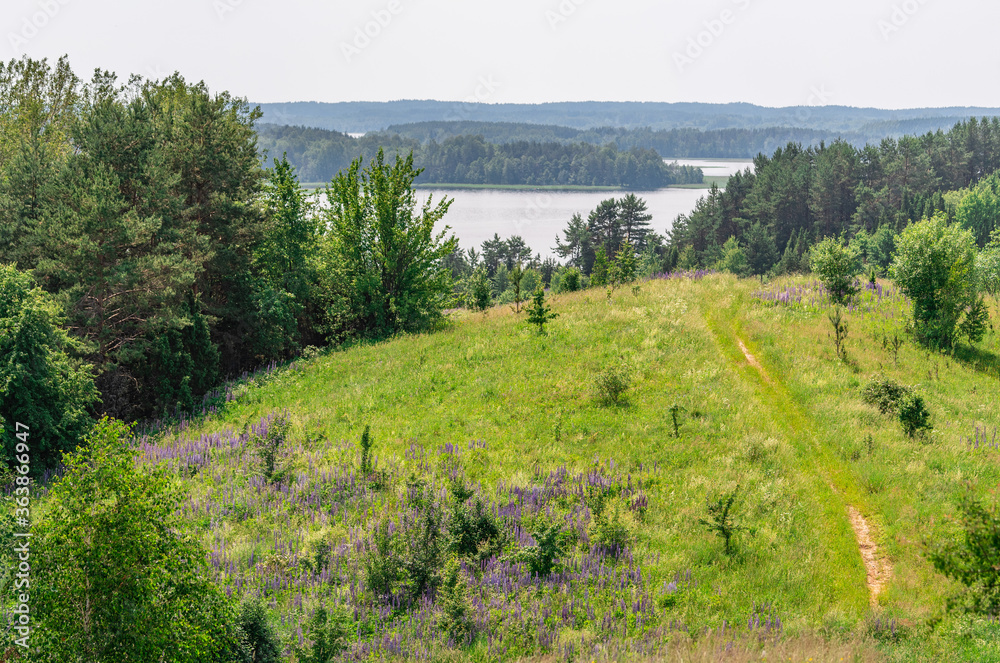 Scenic aerial view of Braslav Lakes national park, Belarus Scenic aerial view of Braslav Lakes national park, Belarus
