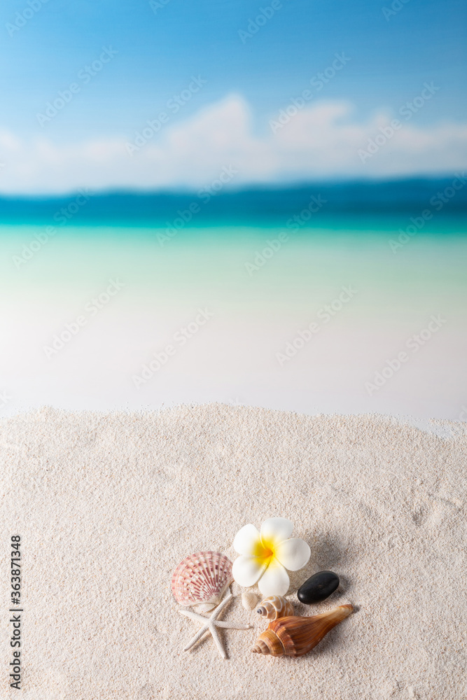 beach background, summer background concept