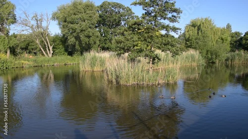 Pond At The Frankendaelpark At Amsterdam The Netherlands 31-5-2020 photo