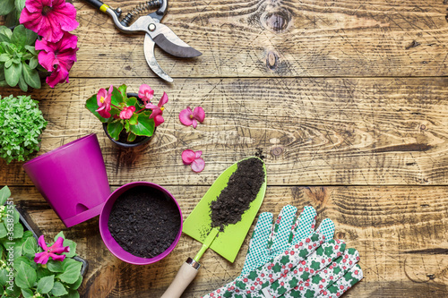 Composition with flowers and gardening tools