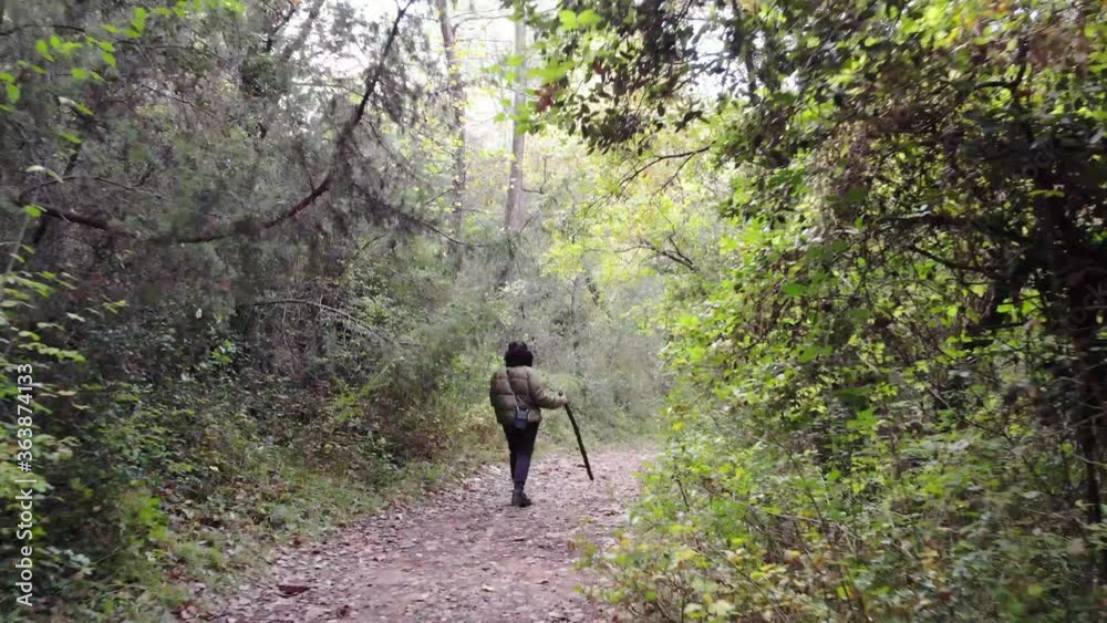Persona atravésando un camino en el bosque Persona atravésando un camino en el bosque