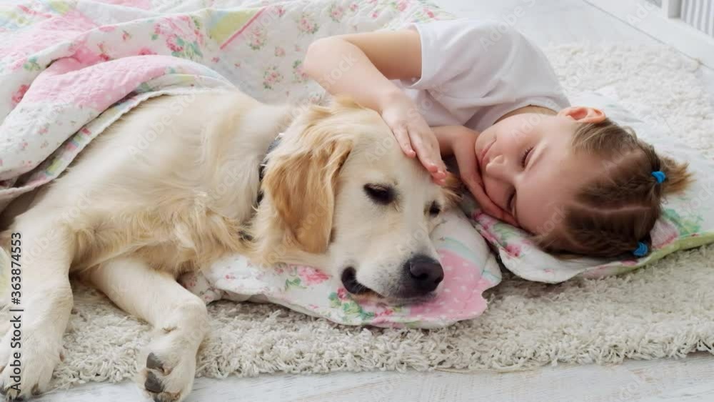 Cute little girl caressing dog head lying under blanket in playroom Cute little girl caressing dog head lying under blanket in playroom