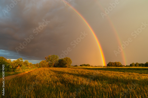 A double rainbow against a dark cloud over a meadow
