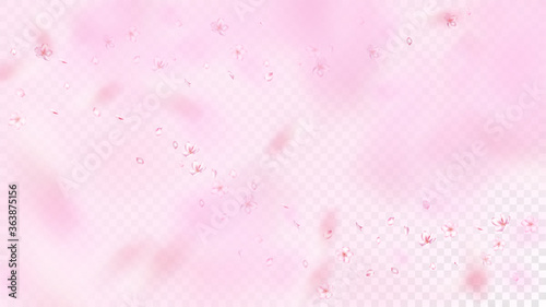 Nice Sakura Blossom Isolated Vector. Watercolor Flying 3d Petals Wedding Border. Japanese Oriental Flowers Wallpaper. Valentine, Mother's Day Pastel Nice Sakura Blossom Isolated on Rose