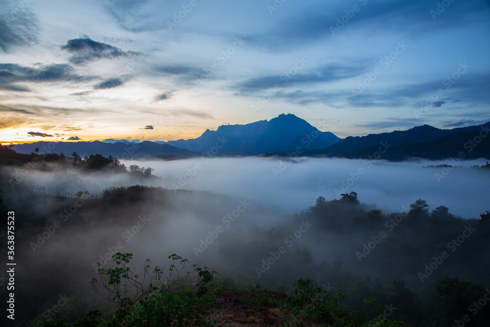 Beautiful landscape scenery with sunlight and fog and Mount Kinabalu as background in Guakon, Sabah, Malaysia