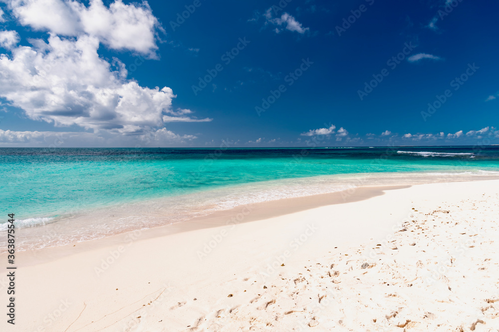 tropical beach with palm trees