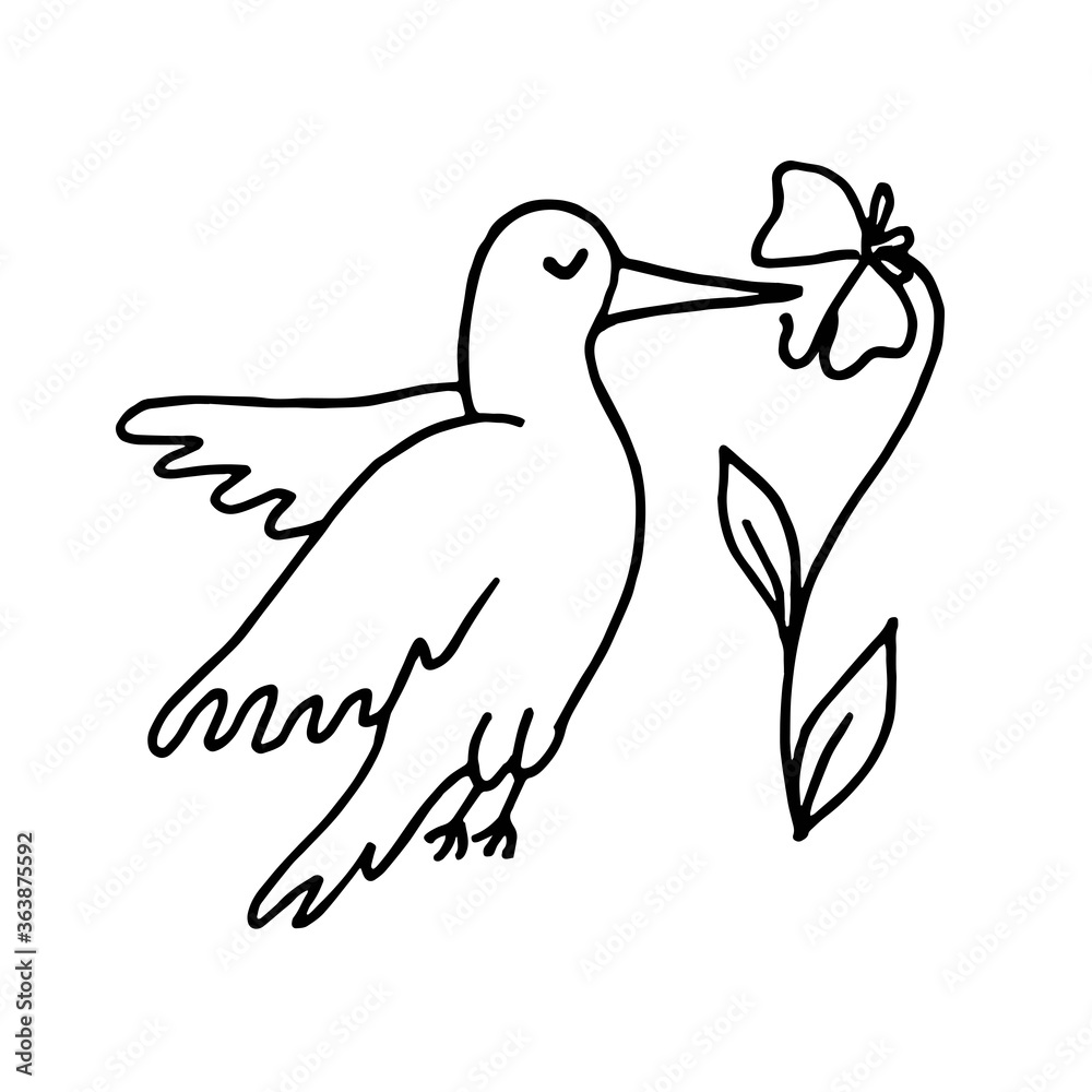 Obraz premium Hand drawn doodle little hummingbird flying around flower. Vector illustration isolated on white