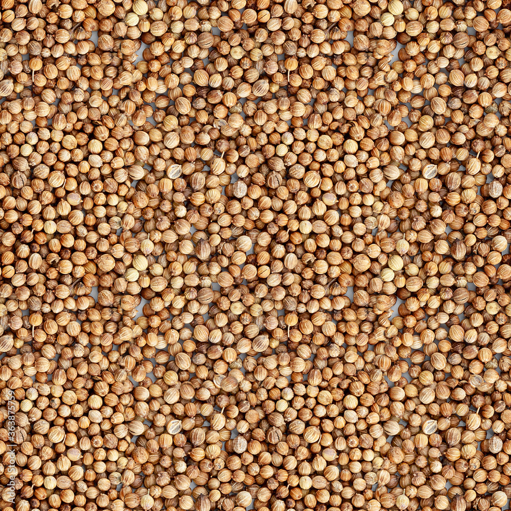 Seamless pattern of the dried coriander seed. Close-up. Top view. Seamless pattern of the dried coriander seed. Close-up. Top view.