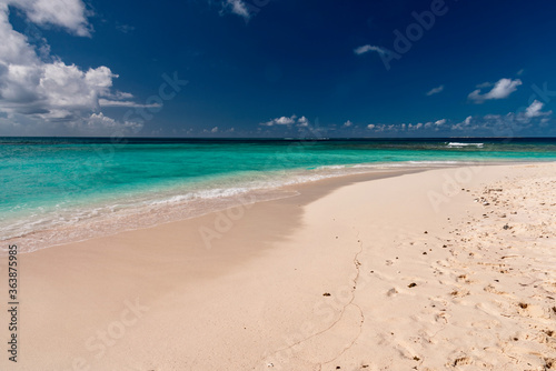 tropical beach with palm trees