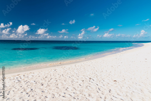 tropical beach with palm trees