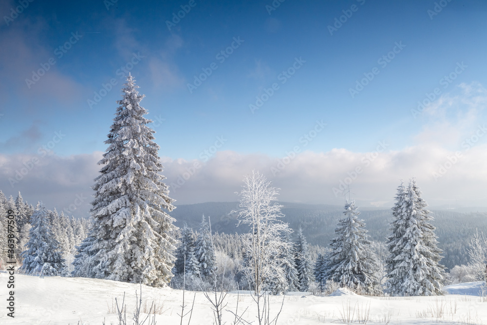 Naklejka premium View on mountain, snow-covered trees and thick clouds in distance