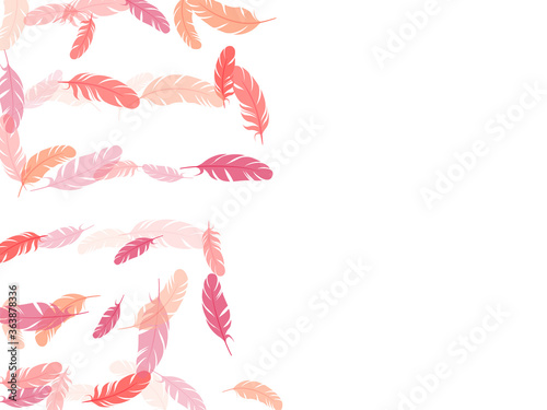 Fluffy twirled feathers on white design.
