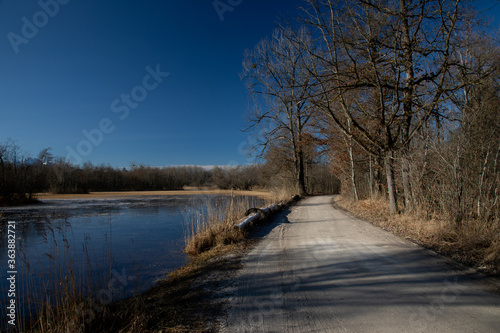 Chiemsee Hirschauer Bucht 